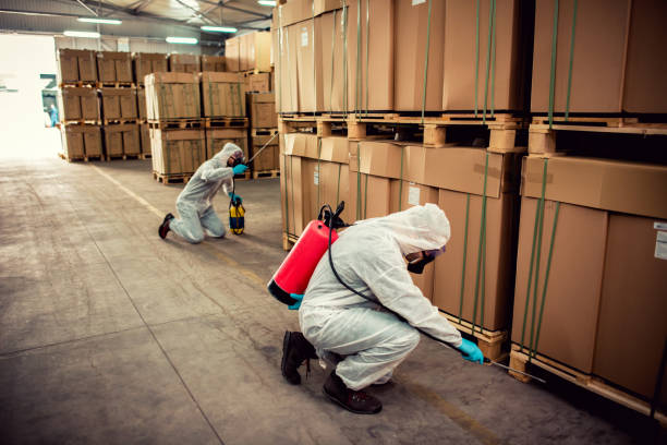 Best Wasp Removal Services  in Dane, WI