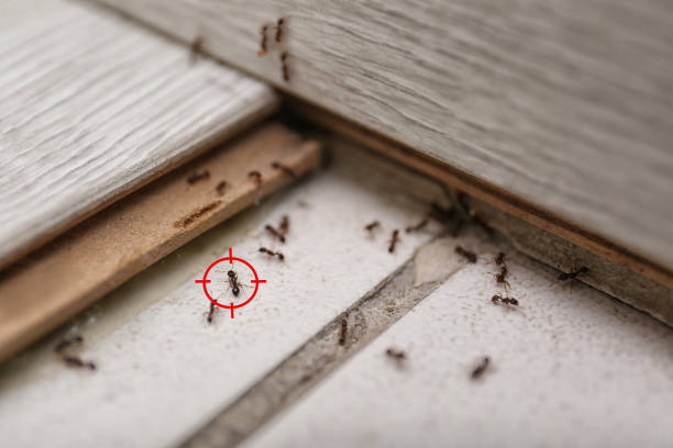 Dane, WI Pest Control Company