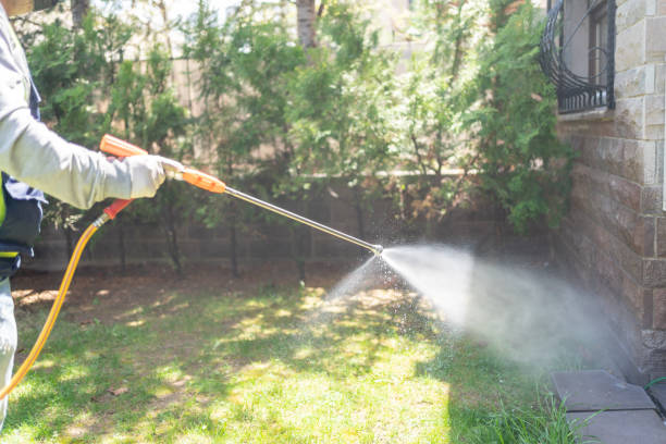 Best Affordable Pest Control Services  in Dane, WI
