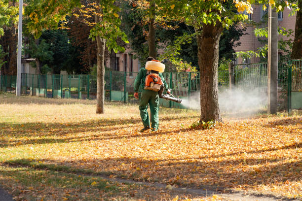 Best Rat Extermination Near Me  in Dane, WI