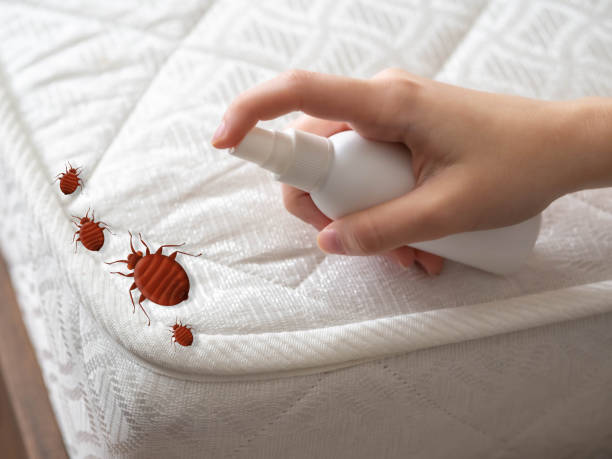 Best Mosquito Control Services  in Dane, WI