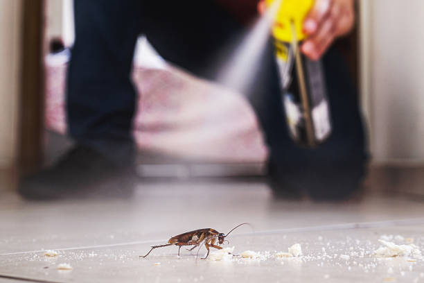 Best Residential Pest Control  in Dane, WI