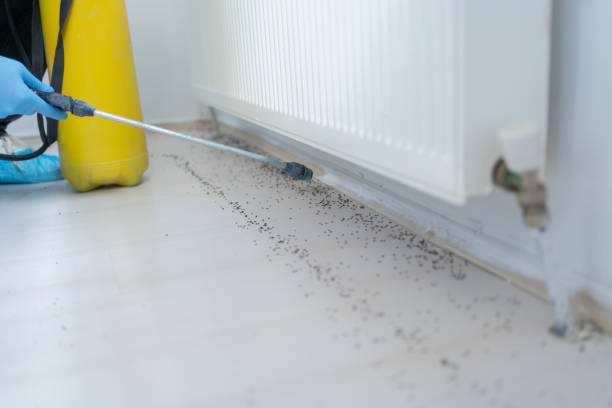 Best Termite Control Services  in Dane, WI