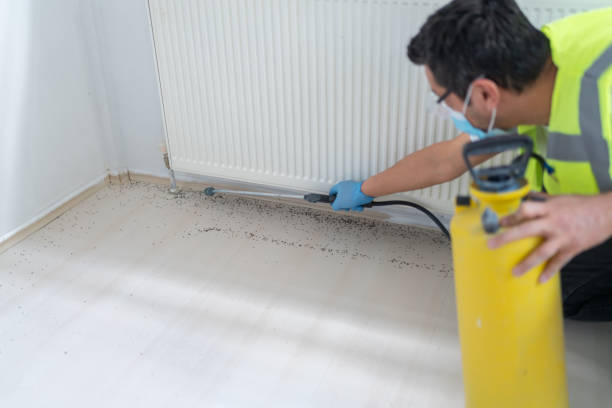Best Best Pest Control Companies  in Dane, WI